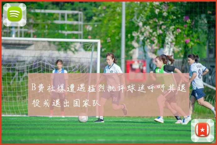 B费社媒遭遇猛烈批评球迷呼吁其退役或退出国家队