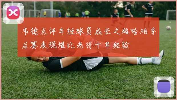 韦德点评年轻球员成长之路哈珀季后赛表现堪比老将十年经验