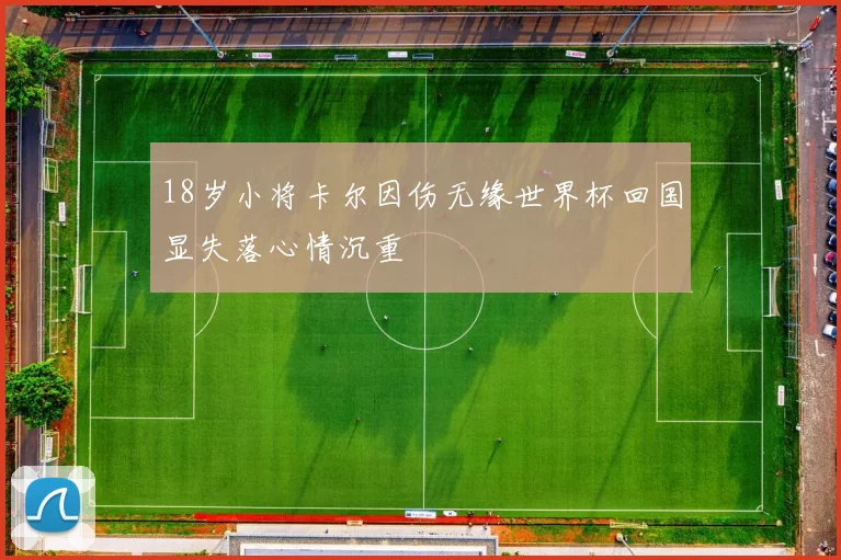 18岁小将卡尔因伤无缘世界杯回国显失落心情沉重